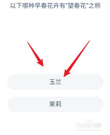 蚂蚁庄园答案哪种早春花卉有