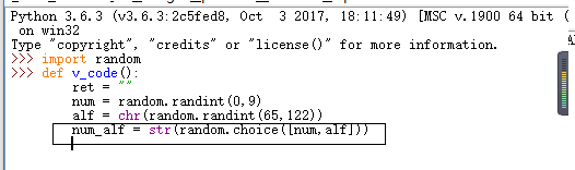 python怎么使用random库生成验证码