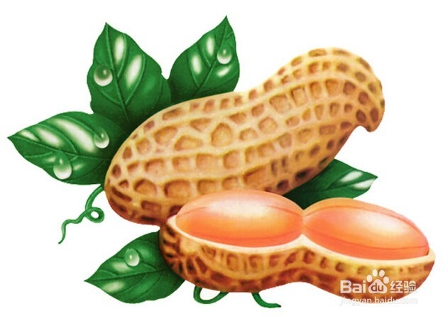 花生与哪些食物一起吃更好