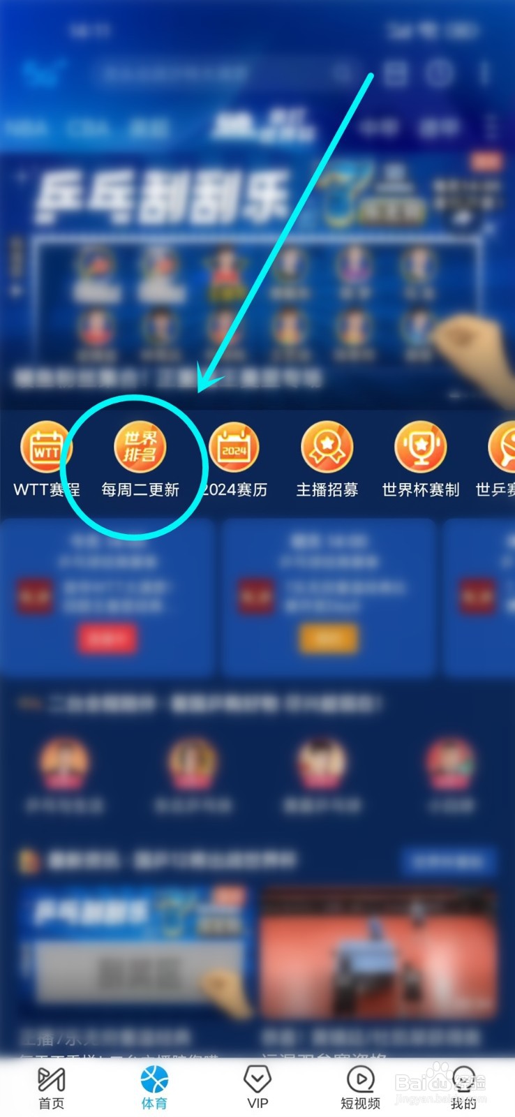 乒乓球世界排名在哪里看