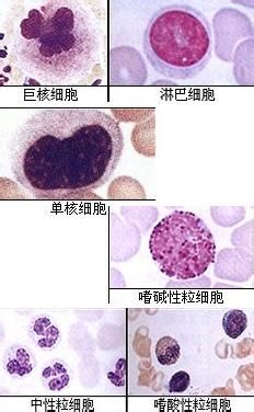 <b>注意!常规孕前体检9步骤</b>