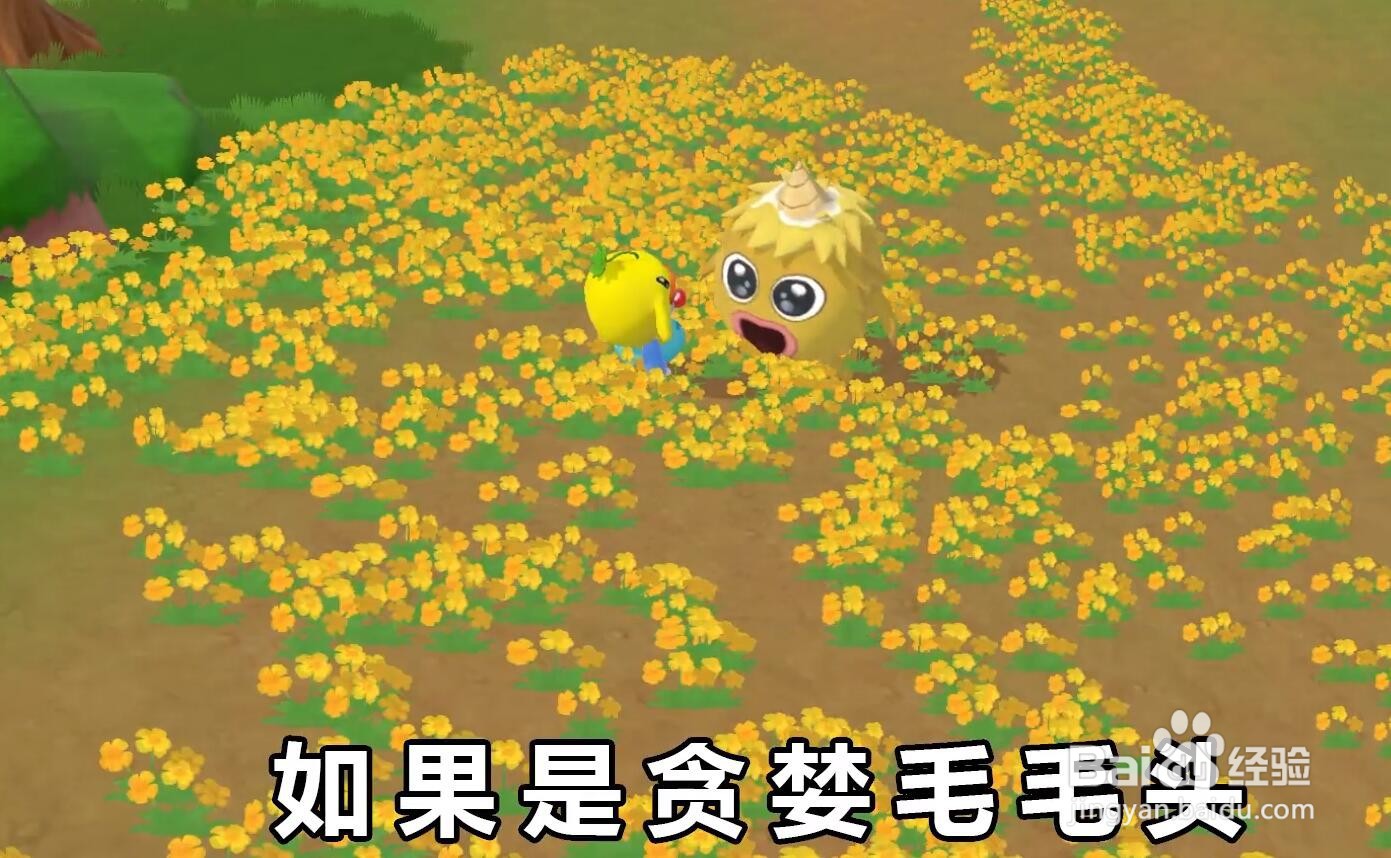 摩尔庄园毛毛头吃什么