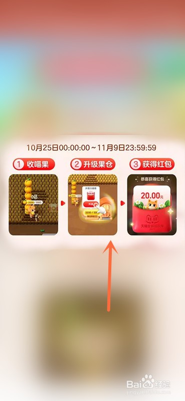 淘宝双11喵果总动员攻略在哪查看