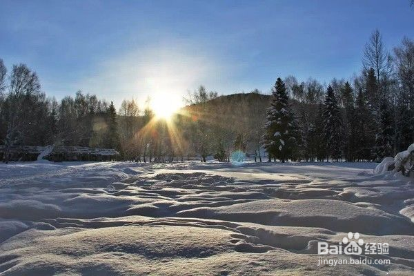 喀纳斯冬季五天旅行指南