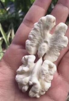 青皮核桃怎么去皮