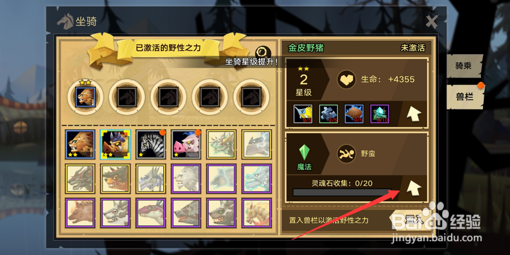 无尽远征怎么提升坐骑的星级和品质