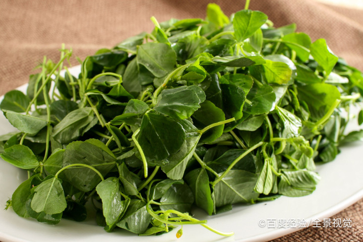 坐月子能吃金花菜吗