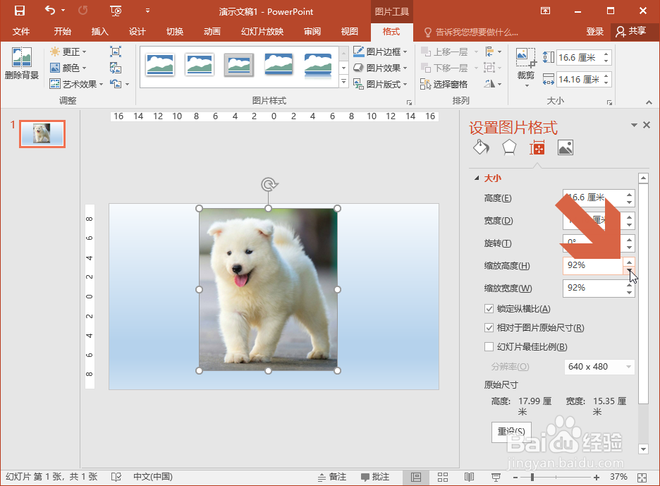 PowerPoint2016缩放图片时怎么让图片不变形