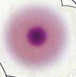 怎样鉴别红酒的真假