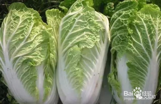 教你一招搞定手脚干燥裂口