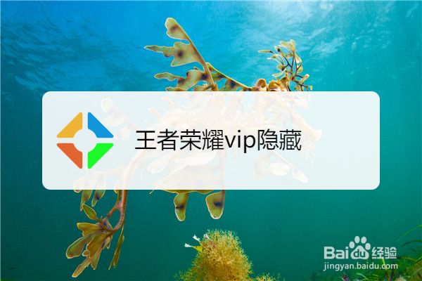 王者荣耀vip隐藏