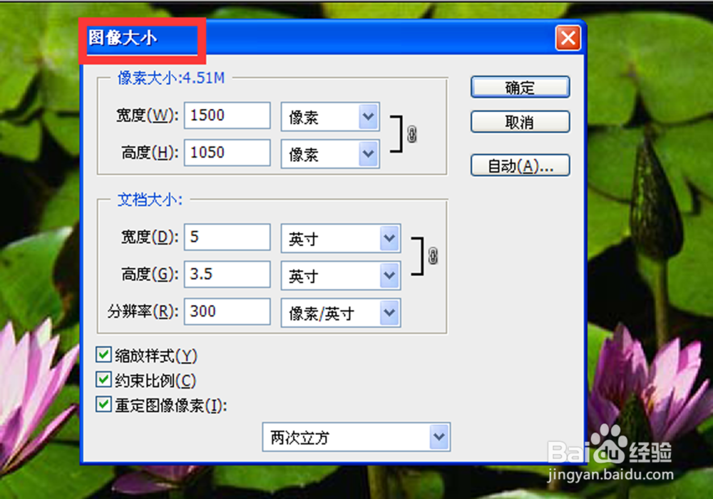 如何用photoshop裁剪成五寸照片