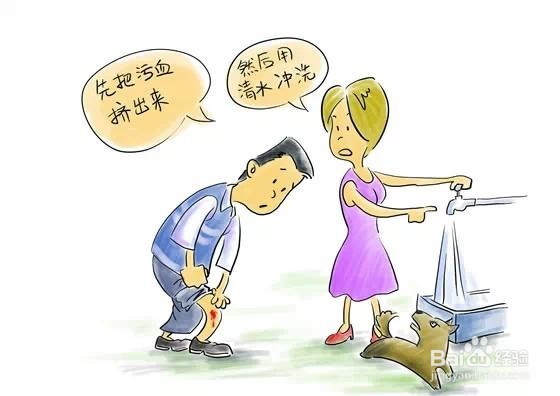 儿童被动物咬伤的注意事项