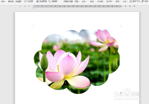 怎么在wps文档中对图片按照形状裁剪