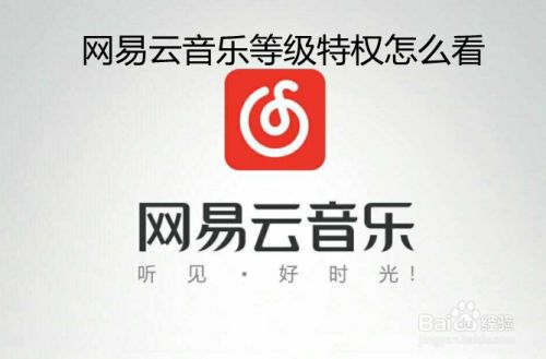 网易云音乐等级特权怎么看