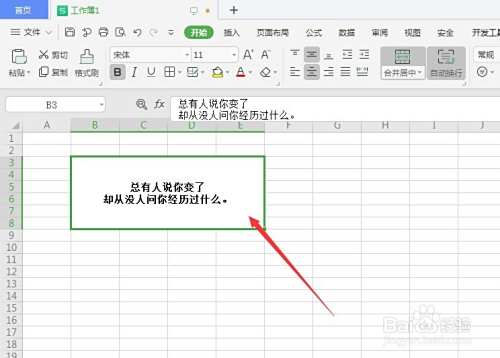 WPS表格中怎么添加自动隐藏的批注信息