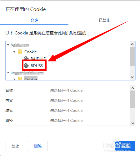 谷歌浏览器如何查看Cookie的BDUSS？