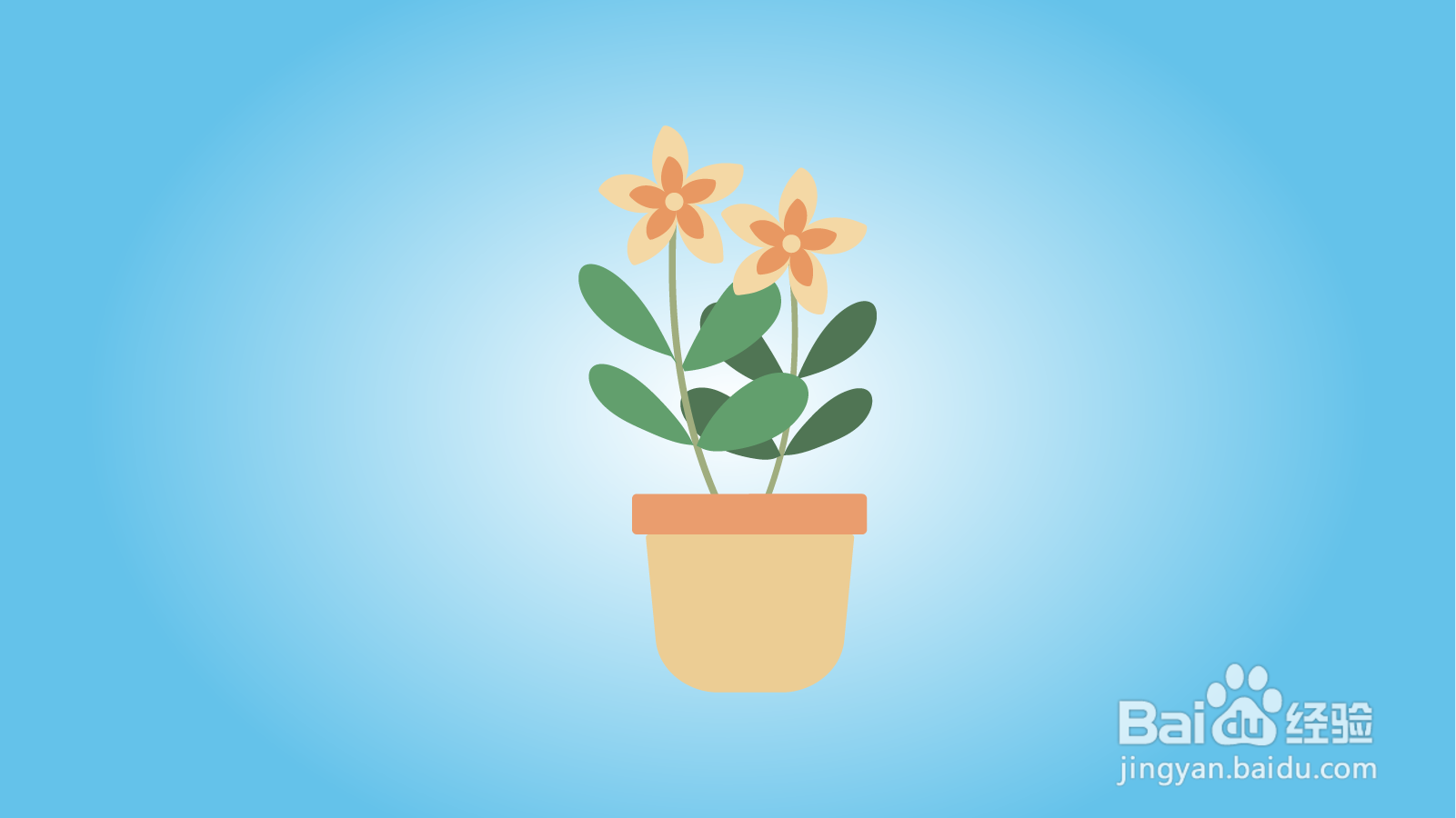 如何画卡通花卉盆栽？