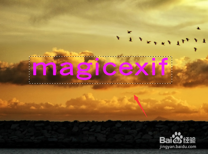 怎样去除magicexif的水印