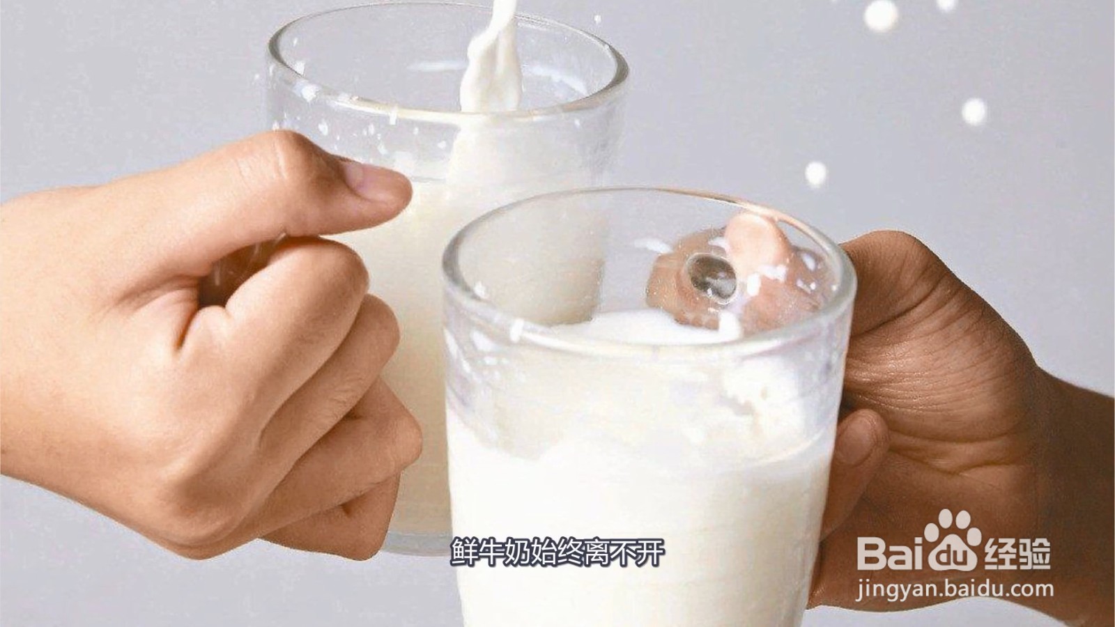 鲜牛奶和纯牛奶有什么区别