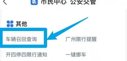 支付宝怎么进行车辆召回查询