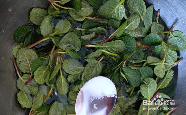 一步步做大家都喜欢的炝拌十香菜