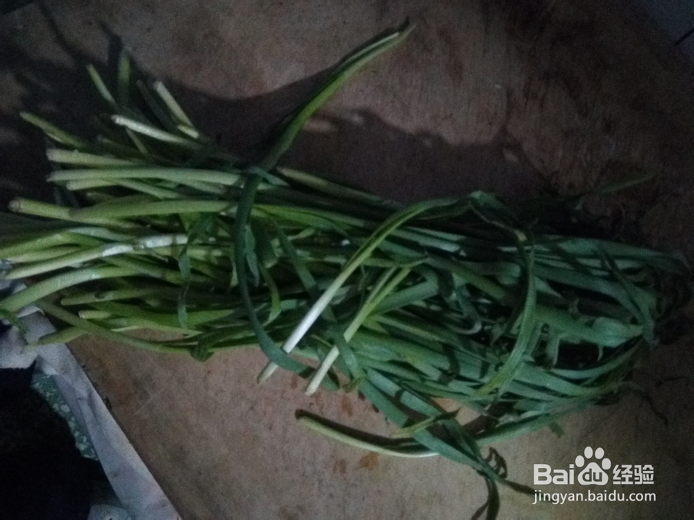 快炒菜之韭菜炒鸡蛋