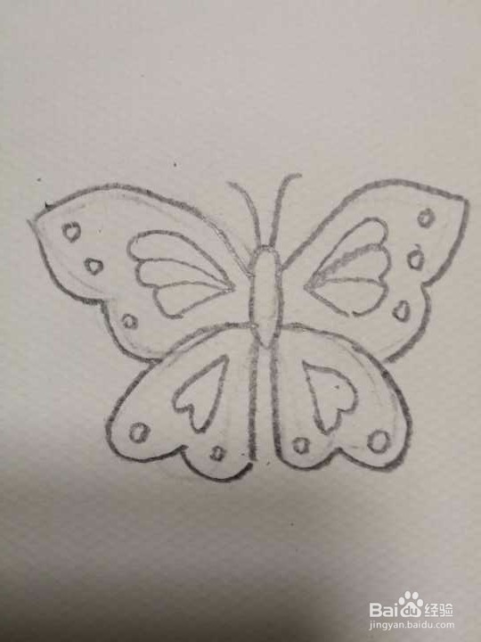 简笔画彩色的蝴蝶怎么画