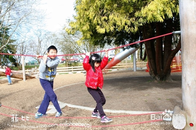 温哥华百万木头公园