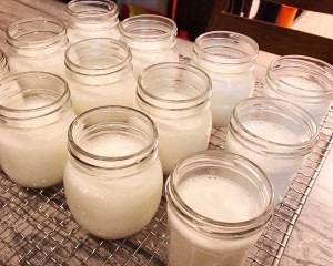 家庭自制酸奶