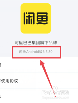 闲鱼怎么查看版本号