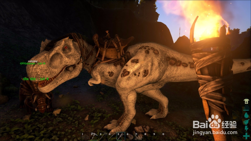 手游方舟新手攻略技巧