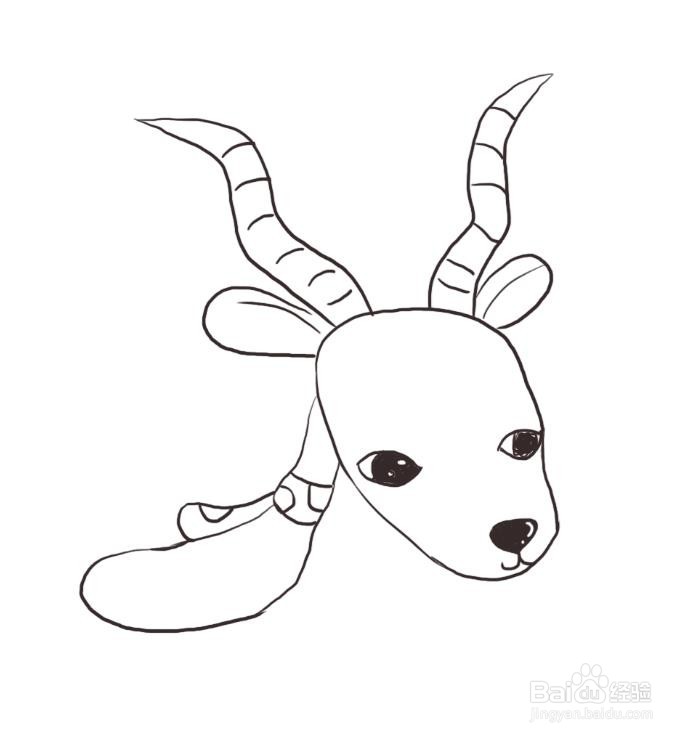 简笔画:怎么画一只可爱的小羚羊