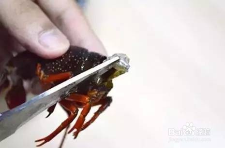 脏东西轻轻松松就出来了