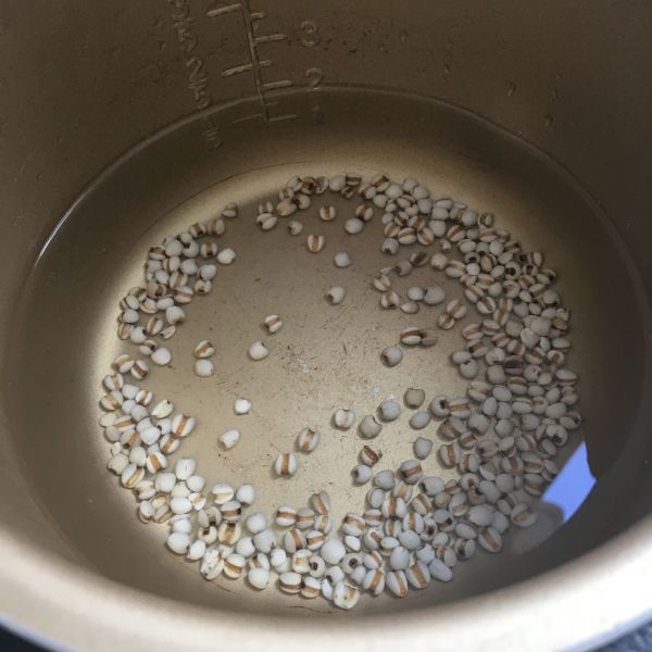 雪梨荸荠薏米糖水
