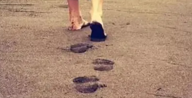 那声音永无休止,就像时光的脚步。(使用修辞手法)