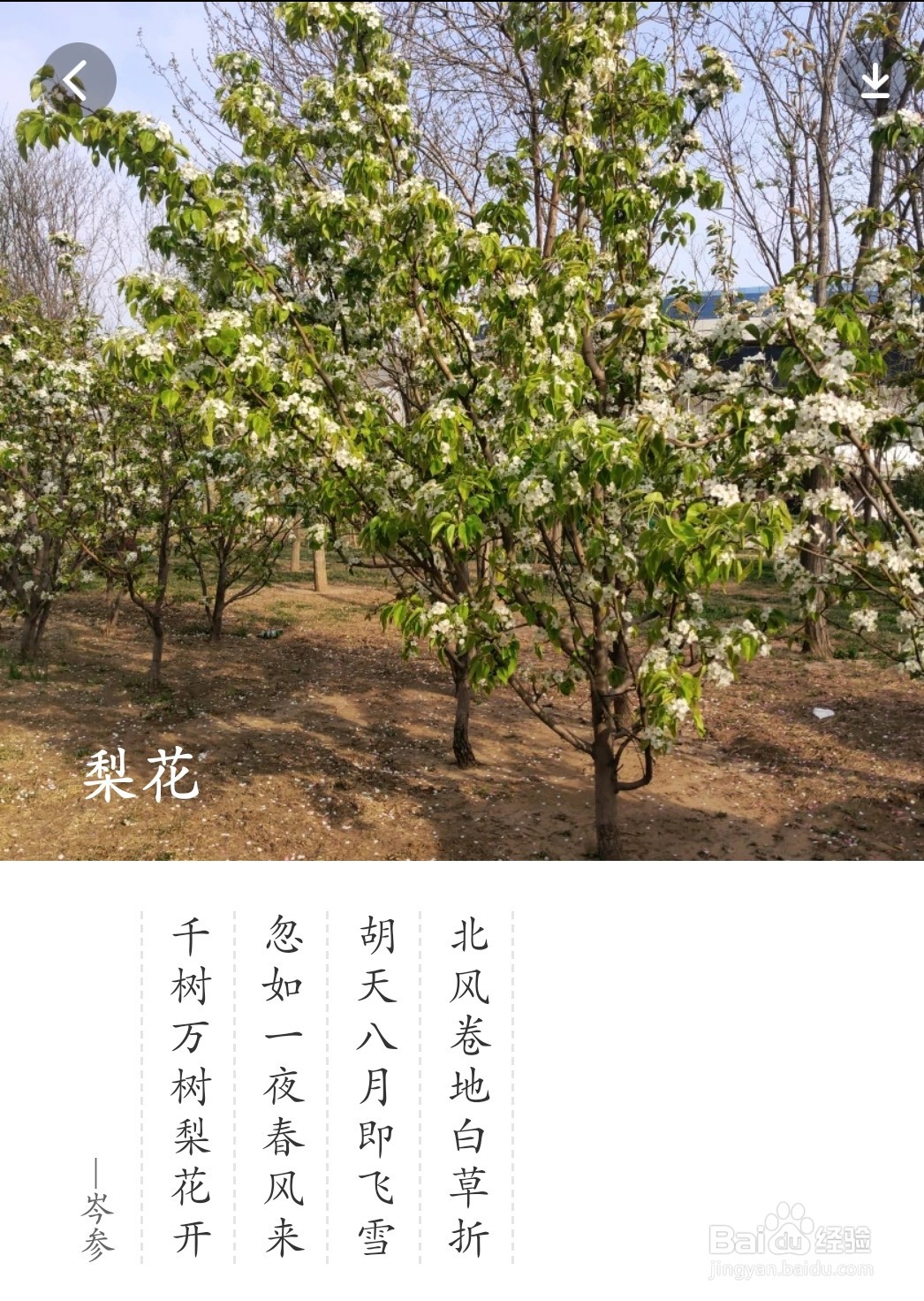 认识植物名字的方法