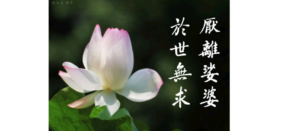 佛法中的四种厌离心是指什么