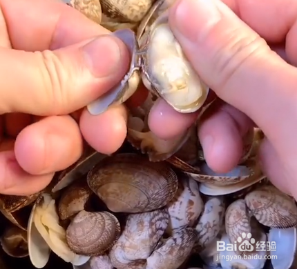 凉拌花甲怎么做