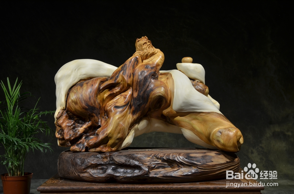 倦勤絮语3：崖柏的冰火两重天