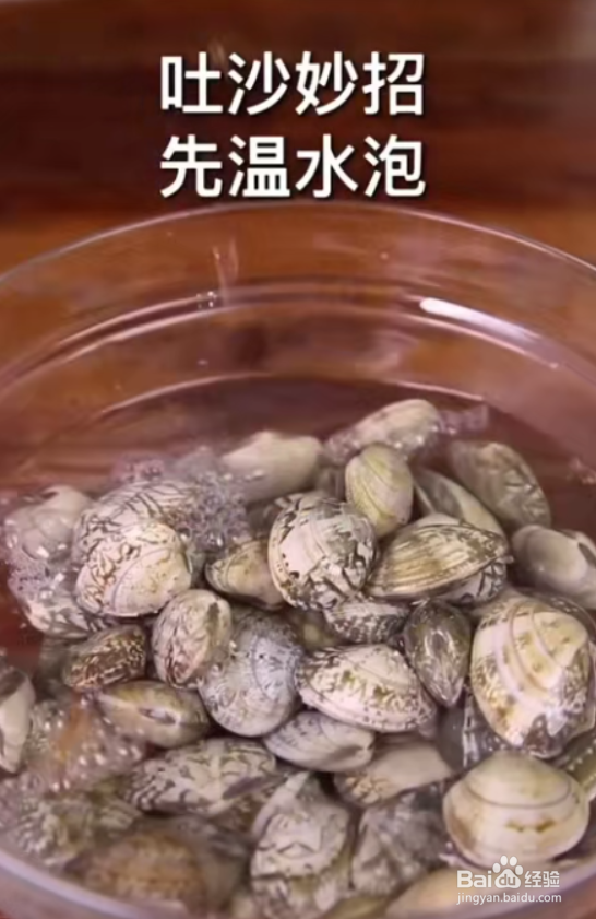 怎样做好辣炒花甲