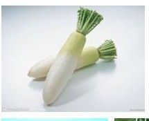 宝宝咳嗽有痰怎么办