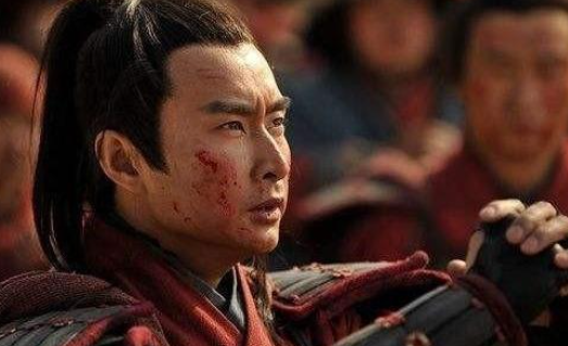 杨再兴是杨家将的后代吗