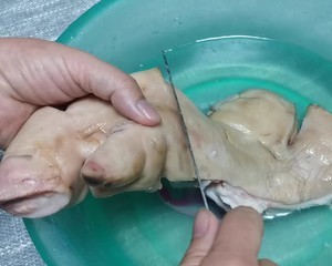 卤味猪蹄的做法