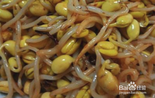 黄豆芽和什么食材搭配好 营养食用相克宜吃人群