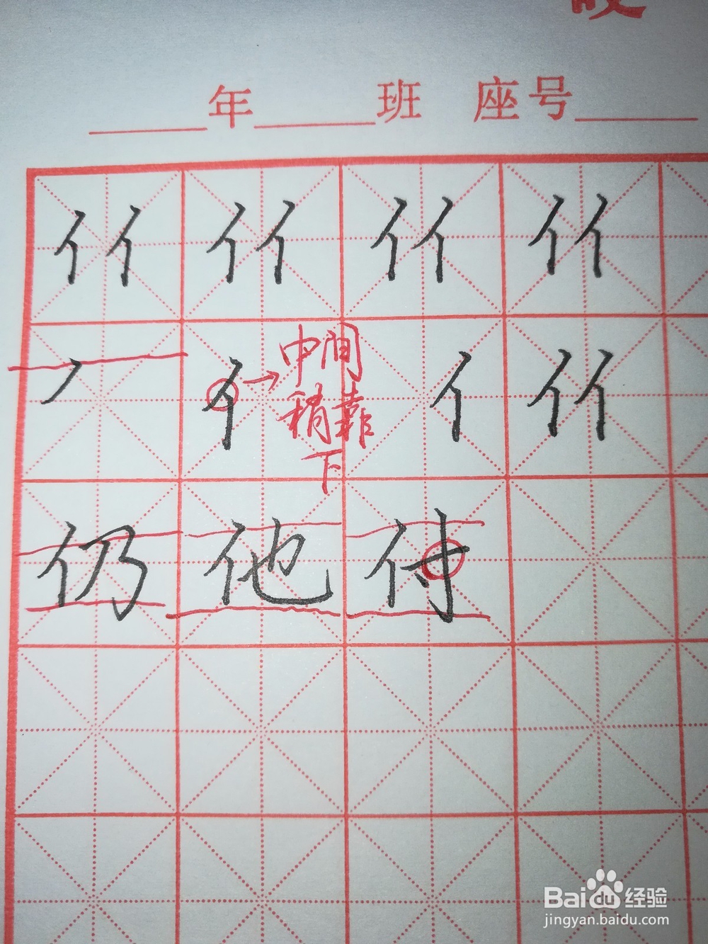 “单人旁”怎样写好看（硬笔楷书）