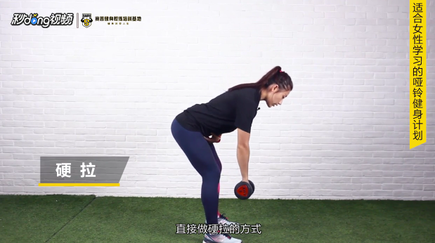 适合女性学习的哑铃健身计划