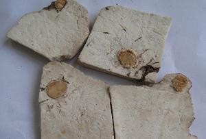 失眠茯神来帮你