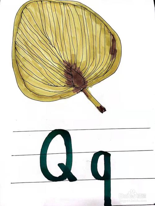 字母q的卡片怎么画-百度经验