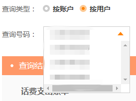 2018年如何在网上查询电信话费